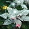 Set of 12: Silver Glitter Poinsettia Flower Picks with 3 Ornament Balls - Festive Seasonal Accents - 2024 Christmas Collection, Floral Home by Artificial Flowers
